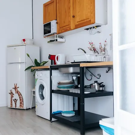 Проживание в семье Aquilla Family 203 *